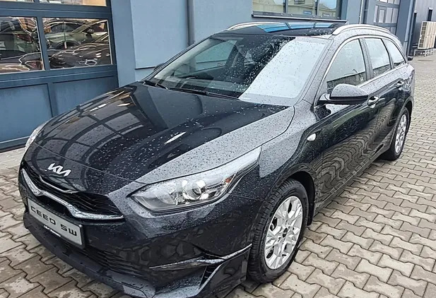 kia ceed gniew Kia Ceed cena 106500 przebieg: 7000, rok produkcji 2023 z Gniew